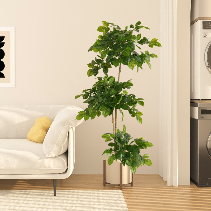 Grandes fausses plantes artifi - Ficus Lyrata Tree avis et prix