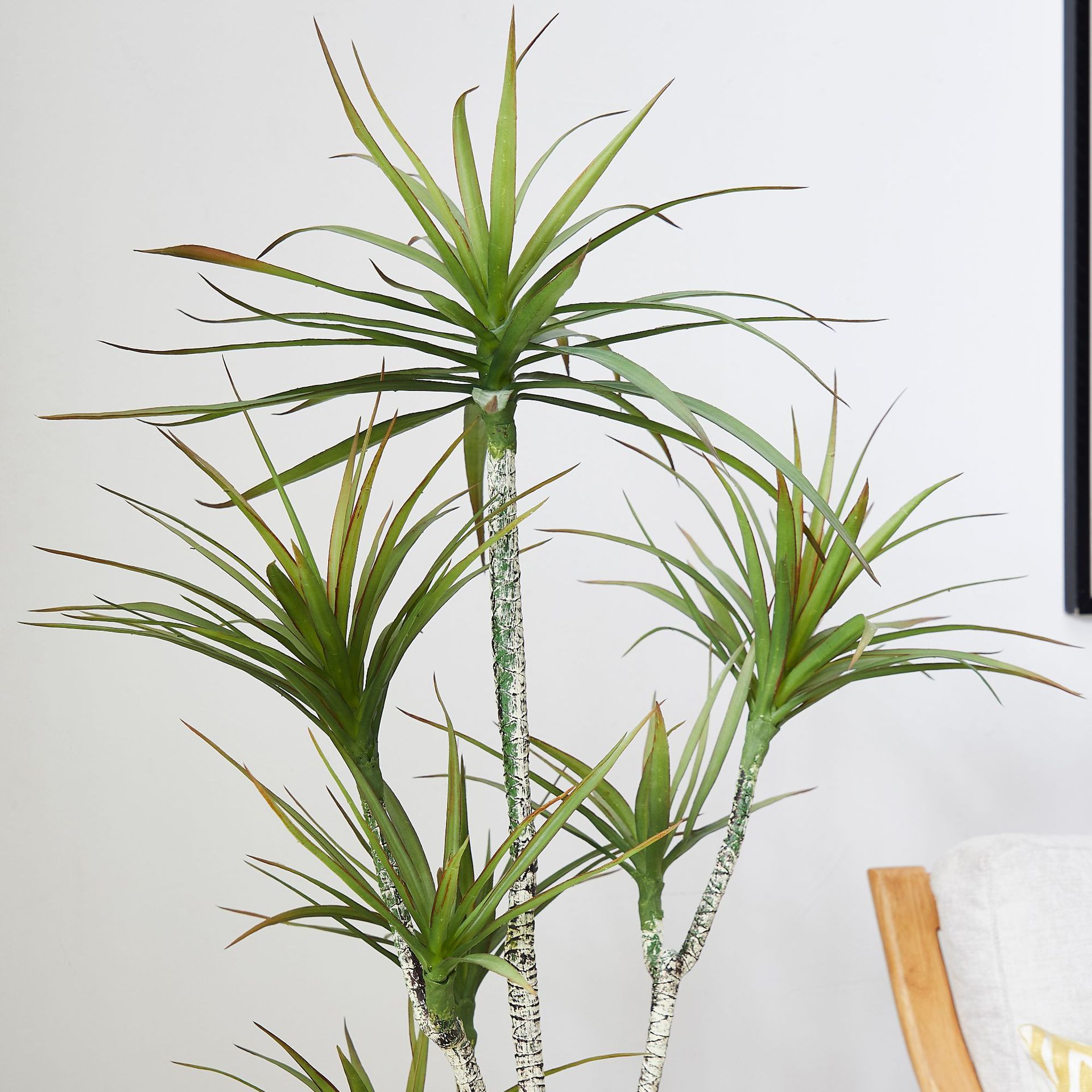 Plastique artificiel en pot ​  - Dracaena Marginata avis et prix