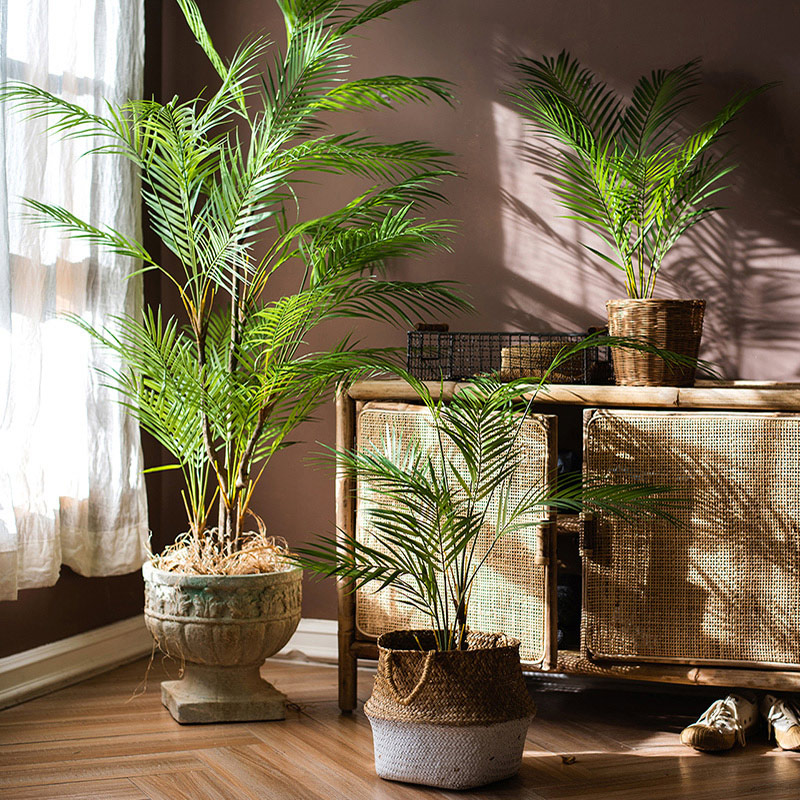 Grand palmier artificiel de 12 - Dracaena Marginata avis et prix
