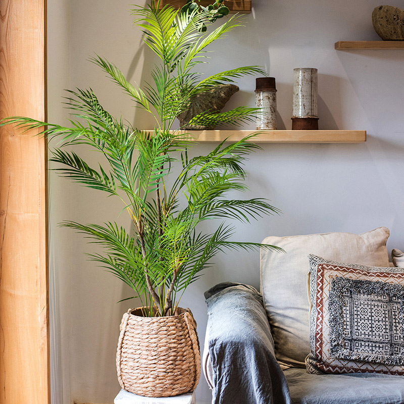 Grand palmier artificiel de 12 - Dracaena Marginata avis et prix